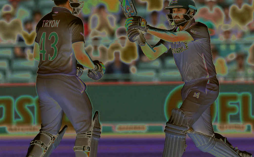 The Young-Premium Bubble: Cricket Auctions, Franchise Economics and Blockchain's New Pitch The Young-Premium Bubble: Cricket Auctions, Franchise Economics and Blockchain's New Pitch