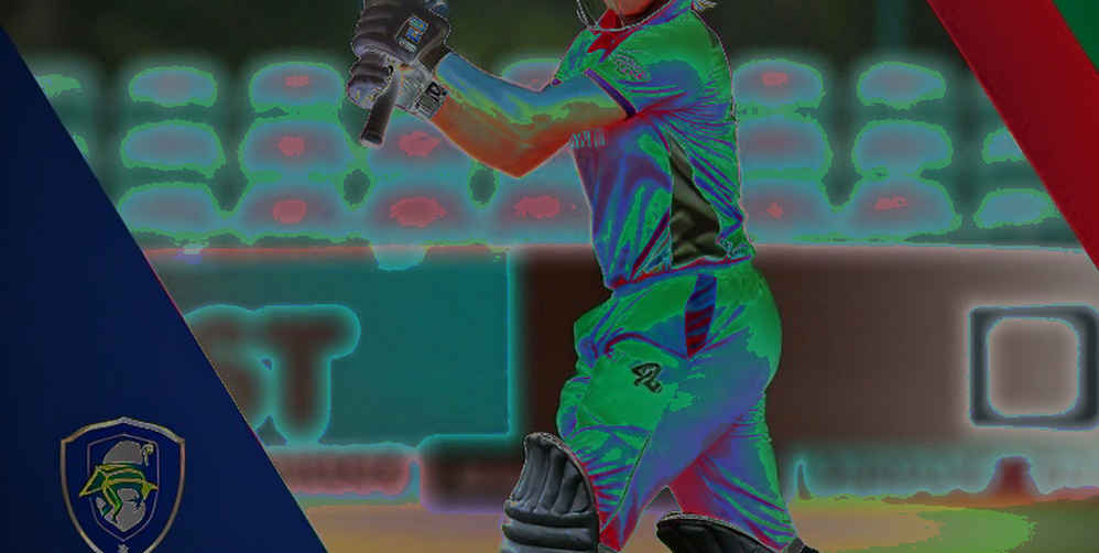 The Empty Cells of the Scorecard: The Cricket Memory That Never Gets Recorded The Empty Cells of the Scorecard: The Cricket Memory That Never Gets Recorded